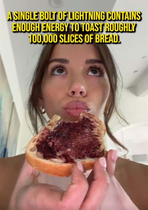 random cool facts (18)