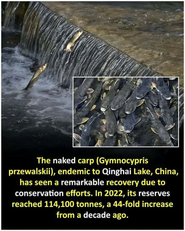 random cool facts (2)