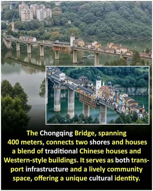 random cool facts (3)