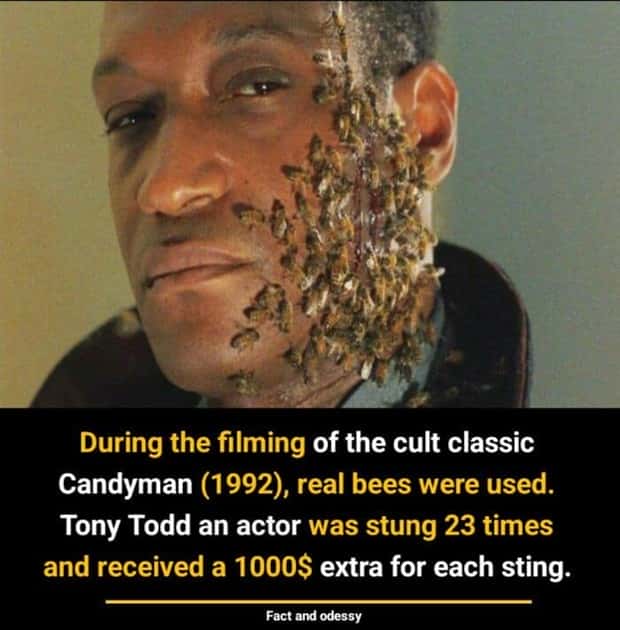 random cool facts (4)