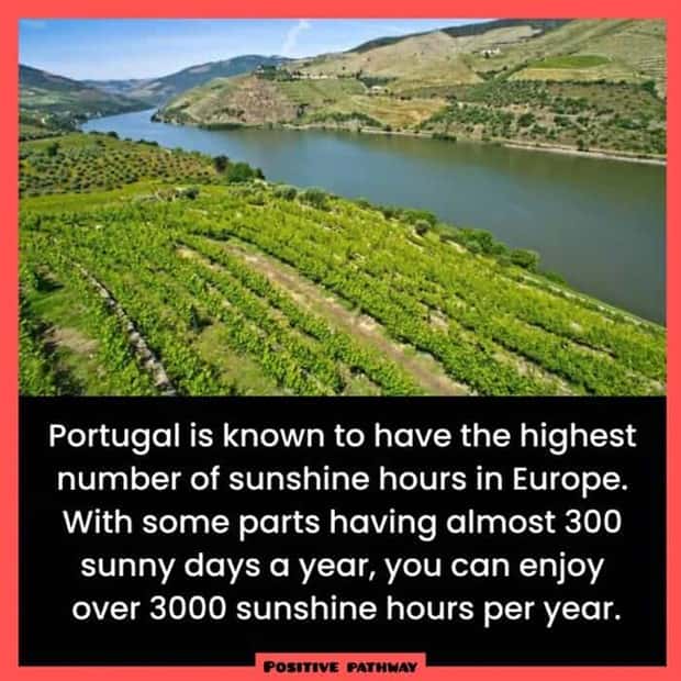 random cool facts (6)