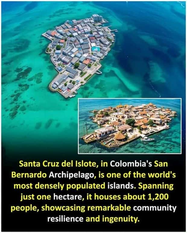 random cool facts (8)
