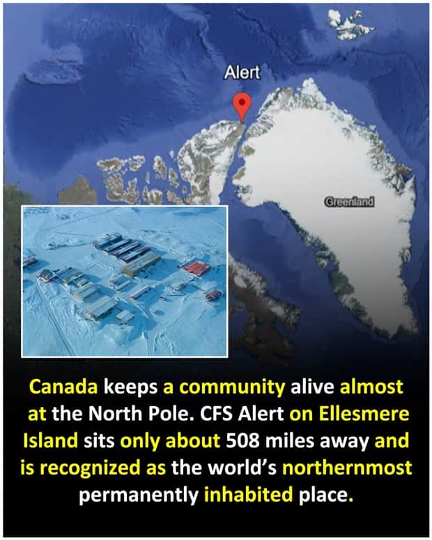 random fun facts (1)