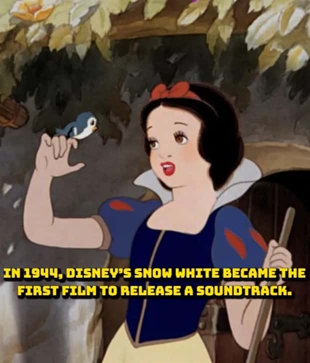 random fun facts (10)