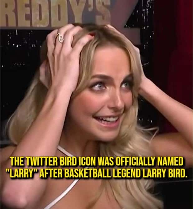 random fun facts (10)