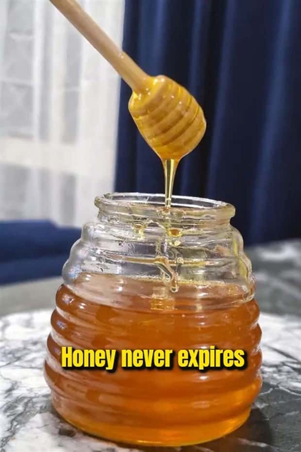 random fun facts (11)