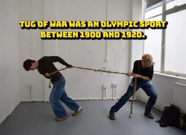 random fun facts (14)