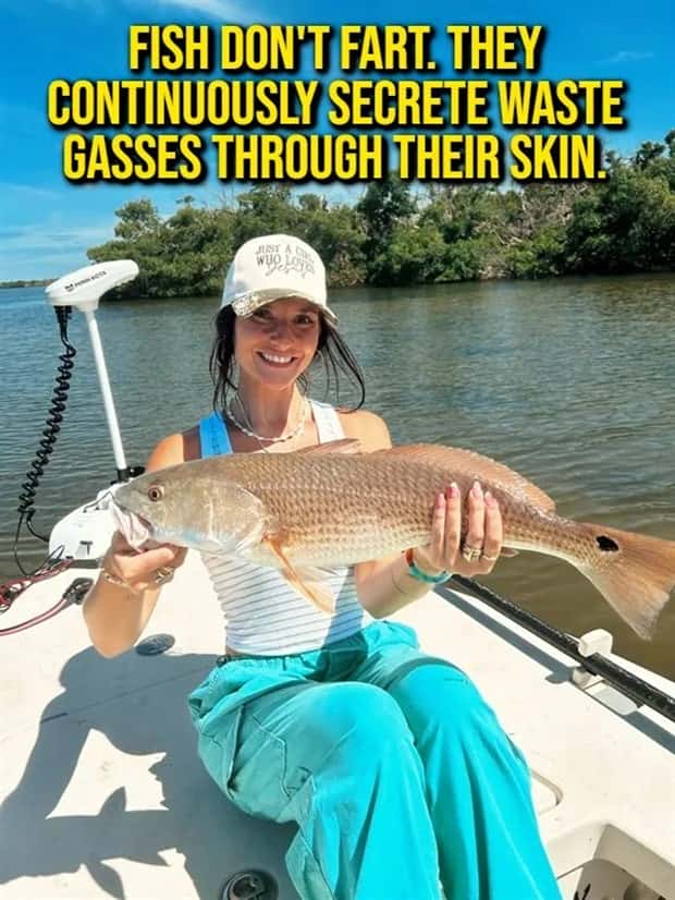 random fun facts (16)
