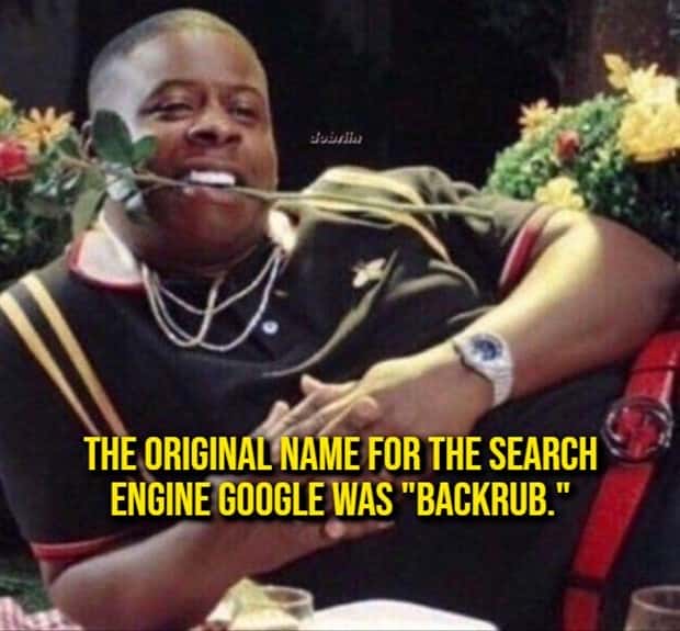 random fun facts (16)