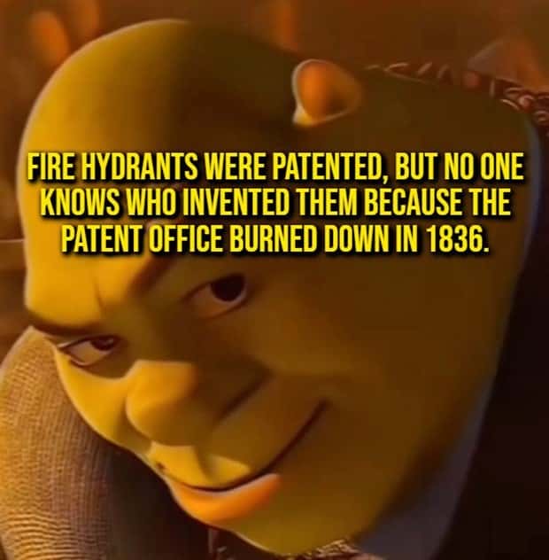 random fun facts (17)