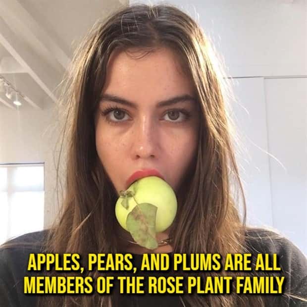 random fun facts (19)