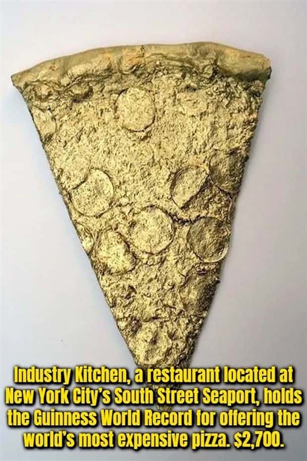random fun facts (22)