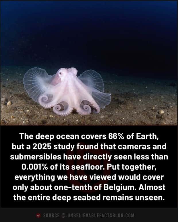 random fun facts (3)