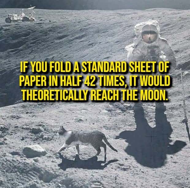 random fun facts (9)