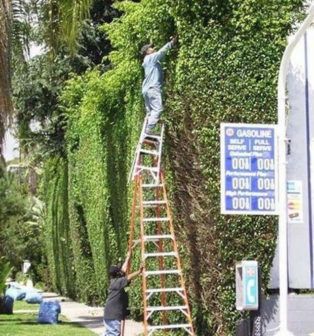 safety failures (9)