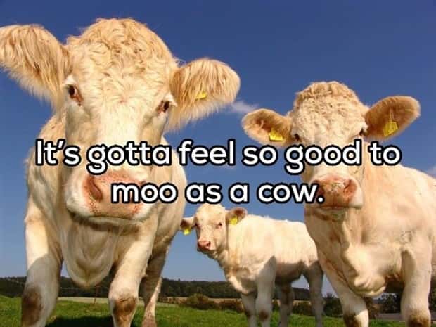 silly shower thoughts (9)