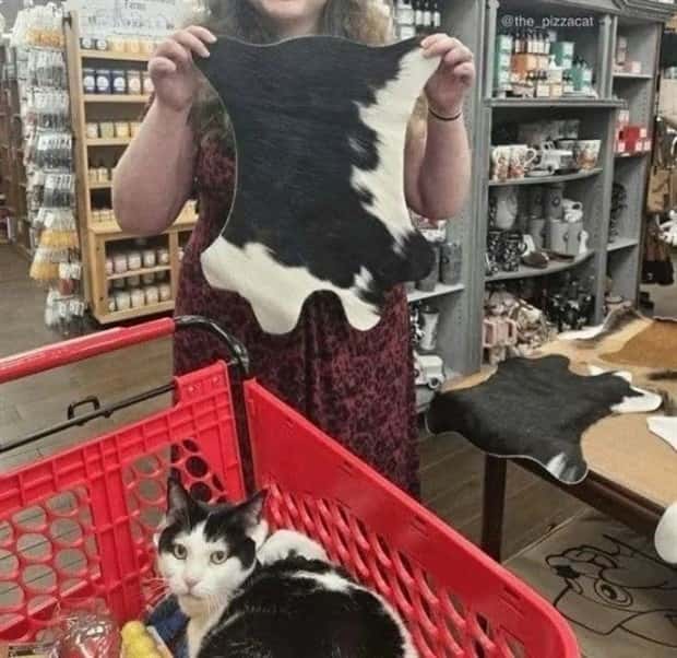 strange internet photos (18)