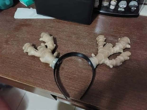 strange internet photos (7)