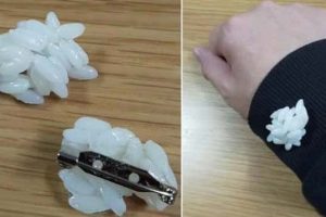 Welcome to the Weird Side of the Internet #209 (19 photos)