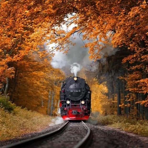 trains in autumn (13)