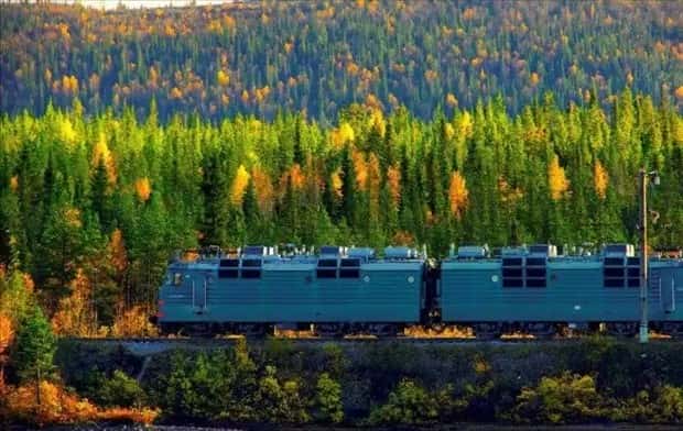 trains in autumn (18)