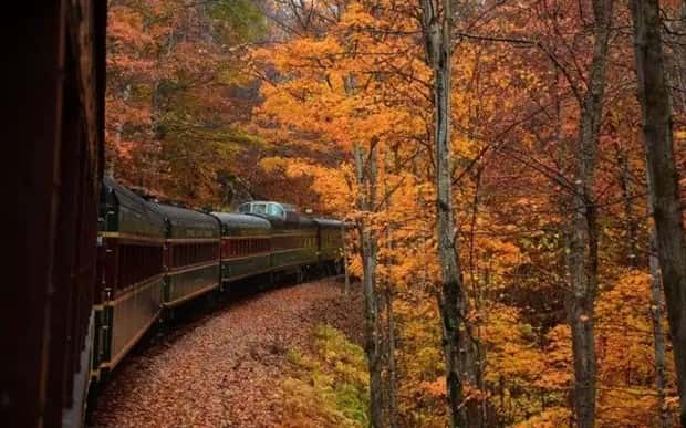 trains in autumn (19)