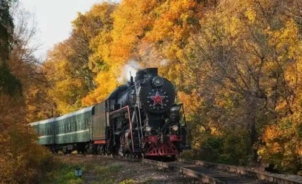 trains in autumn (21)