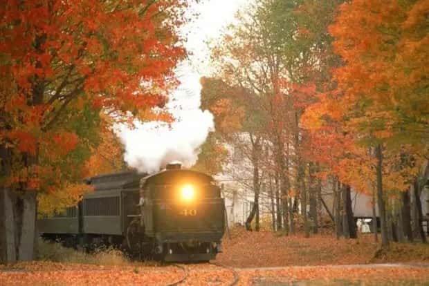 trains in autumn (28)