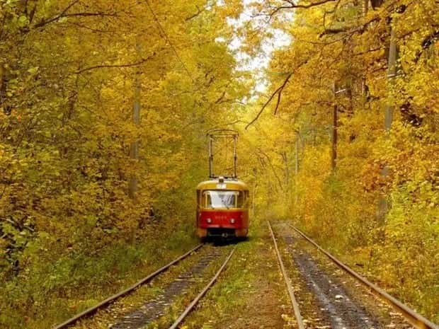 trains in autumn (31)