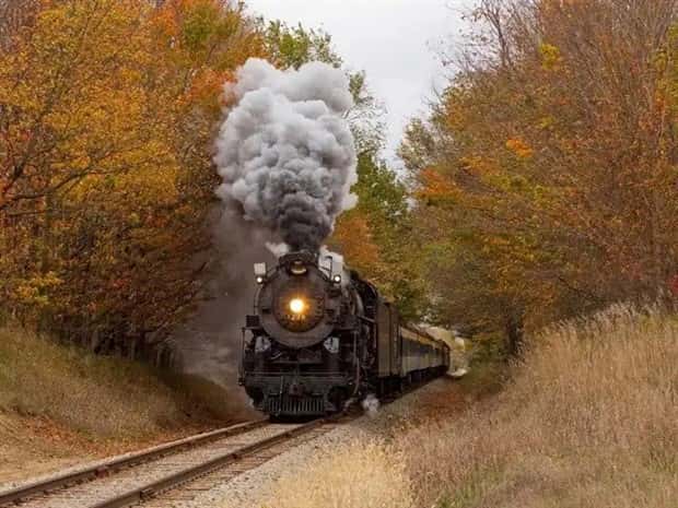 trains in autumn (32)