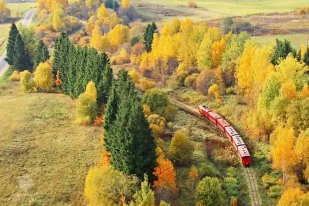 trains in autumn (34)