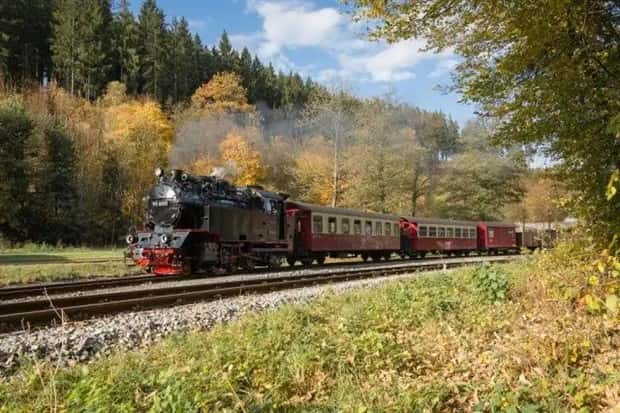 trains in autumn (6)