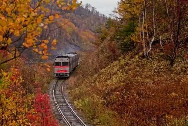 trains in autumn (7)