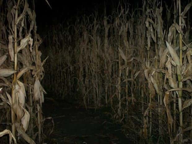 unsettling liminal spaces (18)