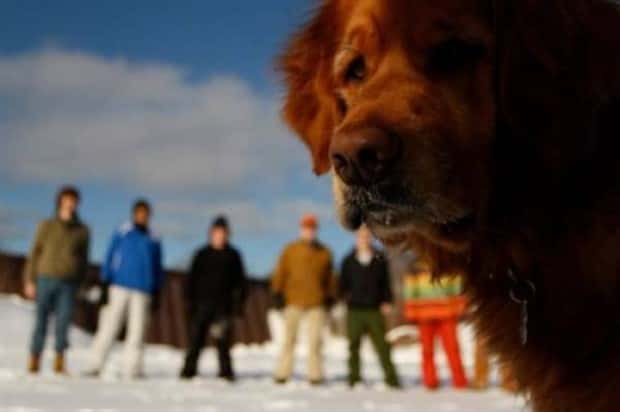amusing photobombing (10)