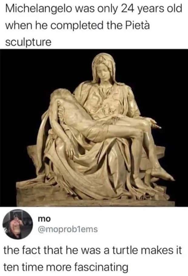 amusing pics and memes (12)