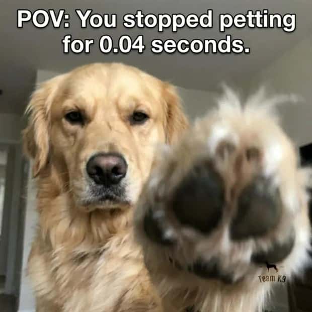 amusing pics and memes (16)