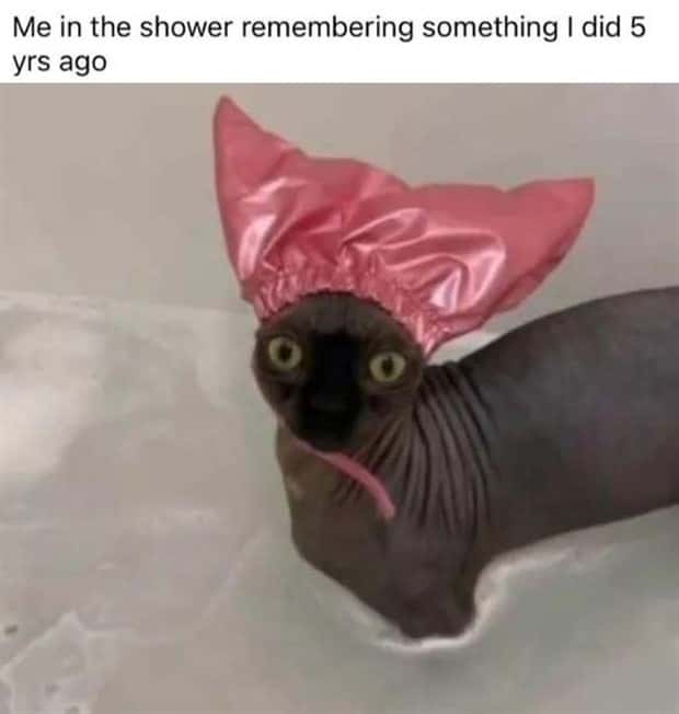 amusing pics and memes (19)