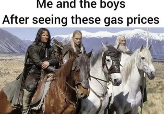 amusing pics and memes (6)