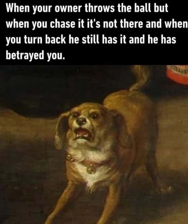 amusing pics and memes (8)