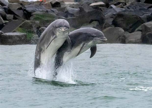 awesome images (13)