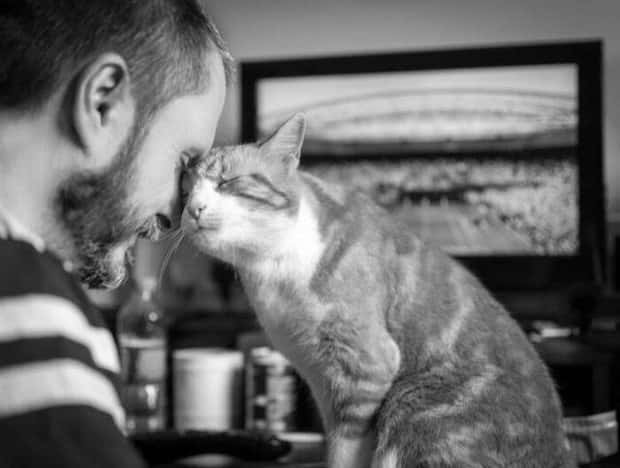 awesome photos (15)