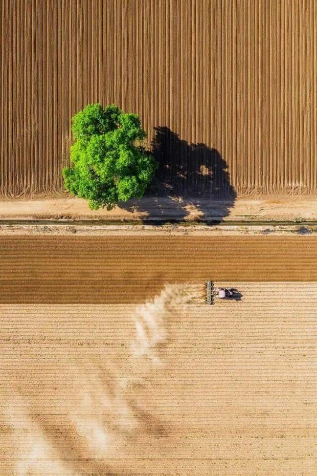 awesome photos (17)