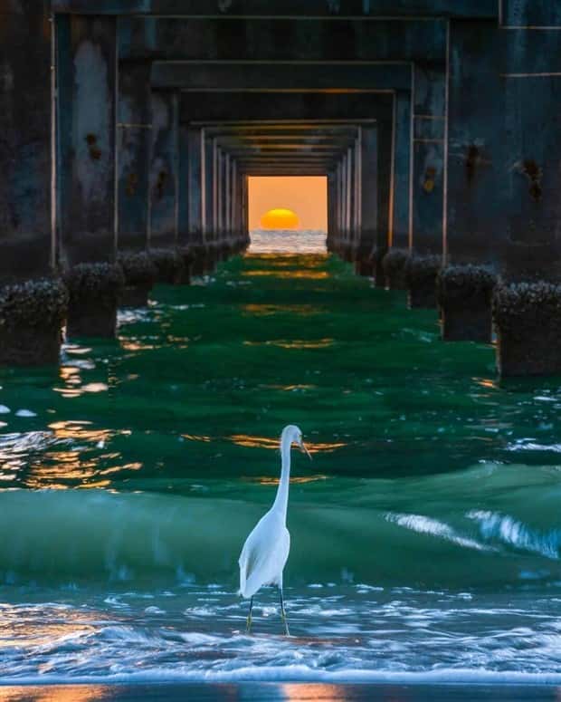 awesome photos (20)