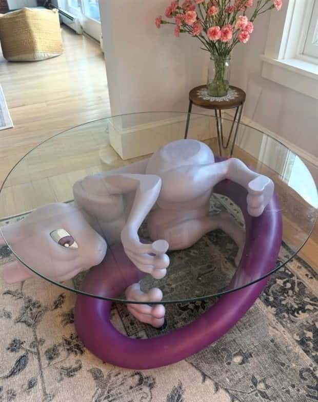 bad taste pics (25)