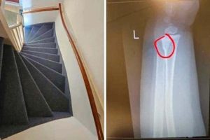 18 Baffling Stair Designs That Raise Serious Questions (18 photos)