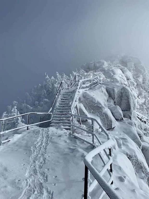 baffling stair designs (3)