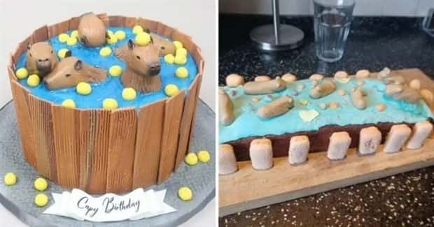 cake failures (13)