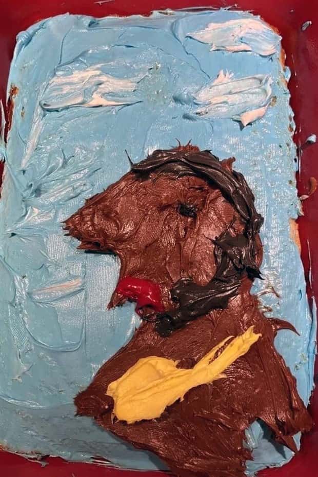 cake failures (17)