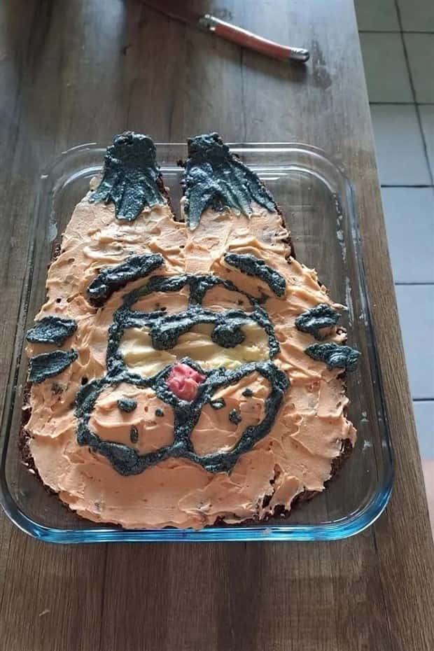 cake failures (19)